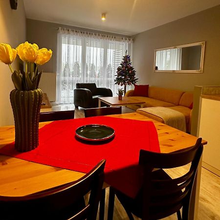 Apartament Z Widokiem Na Szyndzielnie Bielsko-Biała Extérieur photo