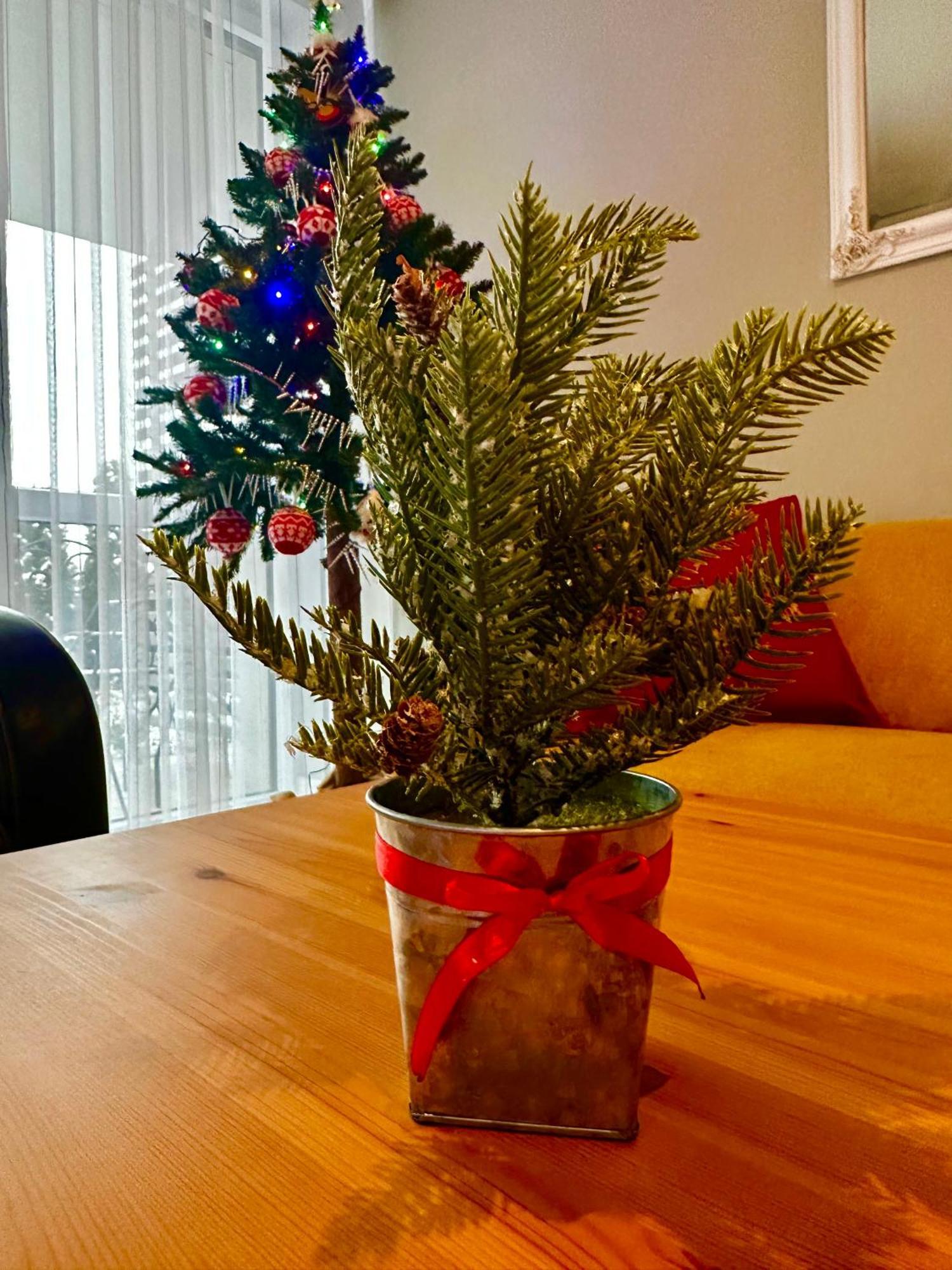 Apartament Z Widokiem Na Szyndzielnie Bielsko-Biała Extérieur photo